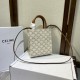 Limited quantity miraculous arrival 2024SS tote bag CELINE Limited quantity miraculous arrival 2024SS tote bag CELINE