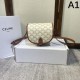 2024SS shoulder bag CELINE that shines with sophisticated charm 2024SS shoulder bag CELINE that shines with sophisticated charm