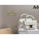 2024SS Tote Bag Used by Highly Sensitive Celebrities CELINE 2024SS Tote Bag Used by Highly Sensitive Celebrities CELINE