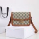2024SS extremely popular CELINE shoulder bag 2024SS extremely popular CELINE shoulder bag