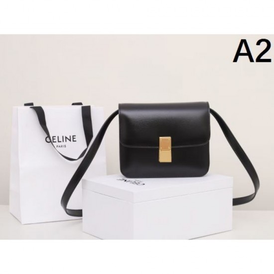 2024SS Perfect combination CELINE Shoulder bag 2024SS Perfect combination CELINE Shoulder bag