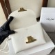 CELINE 2024FW Fall/Winter Limited Collection Tote Bag CELINE 2024FW Fall/Winter Limited Collection Tote Bag
