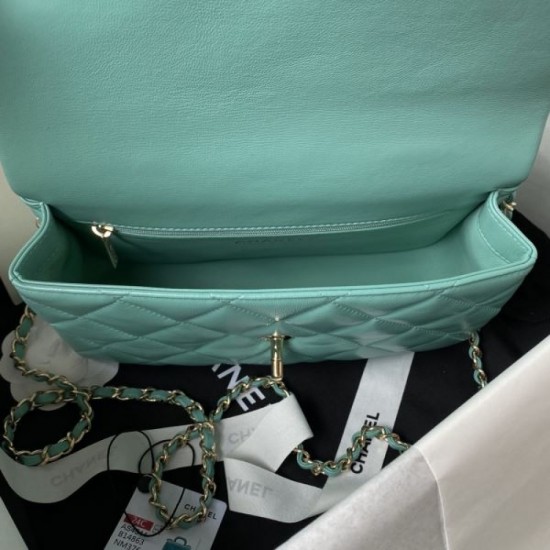 New overseas limited model 2024SS tote bag CHANEL New overseas limited model 2024SS tote bag CHANEL