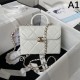 Celebrity favorite brand 2024SS tote bag CHANEL Celebrity favorite brand 2024SS tote bag CHANEL