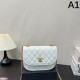 New 2024SS shoulder bag perfect for early spring and summer CHANEL New 2024SS shoulder bag perfect for early spring and summer CHANEL