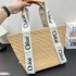 Next hit brand 2024SS tote bag CHLOE