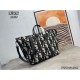 This season's recommended popular item 2024SS tote bag DIOR Dior This season's recommended popular item 2024SS tote bag DIOR Dior