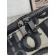 This season's recommended popular item 2024SS tote bag DIOR Dior This season's recommended popular item 2024SS tote bag DIOR Dior