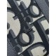 This season's recommended popular item 2024SS tote bag DIOR Dior This season's recommended popular item 2024SS tote bag DIOR Dior