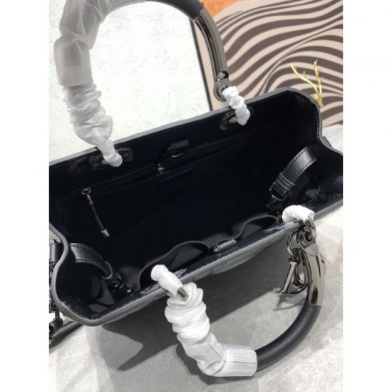 Must-have item new arrival 2024SS tote bag DIOR Dior Must-have item new arrival 2024SS tote bag DIOR Dior