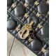 Limited item delivered from overseas 2024SS Shoulder bag DIOR Dior Limited item delivered from overseas 2024SS Shoulder bag DIOR Dior
