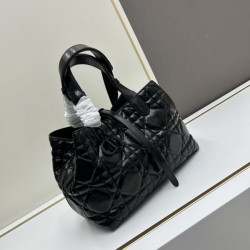 High impact design 2024SS tote bag DIOR