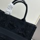 2024SS tote bag DIOR for an elegant casual outfit 2024SS tote bag DIOR for an elegant casual outfit