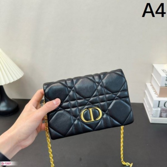 Anyone can be fashionable! 2024SS Shoulder Bag DIOR Dior Anyone can be fashionable! 2024SS Shoulder Bag DIOR Dior