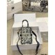 This season's hottest trend 2024SS tote bag DIOR Dior This season's hottest trend 2024SS tote bag DIOR Dior