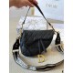 2024SS tote bag DIOR that celebrities are getting this season 2024SS tote bag DIOR that celebrities are getting this season