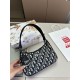 Keywords to look stylish 2024SS tote bag DIOR Keywords to look stylish 2024SS tote bag DIOR