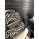 The extremely popular new 2024SS backpack DIOR The extremely popular new 2024SS backpack DIOR