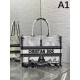 Spring/summer new items are coming one after another 2024SS tote bag DIOR Dior Spring/summer new items are coming one after another 2024SS tote bag DIOR Dior
