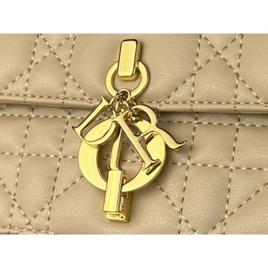 2024SS The strongest item for summer DIOR Shoulder bag 2024SS The strongest item for summer DIOR Shoulder bag
