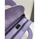 2024SS Cute Sold Out Very Popular DIOR Dior Tote Bag 2024SS Cute Sold Out Very Popular DIOR Dior Tote Bag