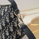 DIOR Dior 2024FW continues to be popular style tote bag DIOR Dior 2024FW continues to be popular style tote bag