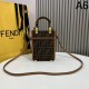 Eye-catching style this summer 2024SS tote bag FENDI Eye-catching style this summer 2024SS tote bag FENDI