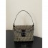 Attractive style 2024SS tote bag FENDI