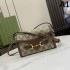 Delicate Spring Items 2024SS Shoulder Bag GUCCI Gucci