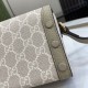 Delicate Spring Items 2024SS Shoulder Bag GUCCI Gucci Delicate Spring Items 2024SS Shoulder Bag GUCCI Gucci