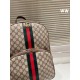 High fashion sensitivity 2024SS backpack GUCCI Gucci High fashion sensitivity 2024SS backpack GUCCI Gucci