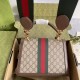 2024SS Most Popular Product FENDI Tote Bag 2024SS Most Popular Product FENDI Tote Bag