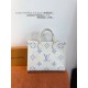 Comfortable 2024SS tote bag LOUIS VUITTON Louis Vuitton Comfortable 2024SS tote bag LOUIS VUITTON Louis Vuitton