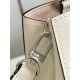 LOUIS VUITTON 2024FW Tote bag trending in color LOUIS VUITTON 2024FW Tote bag trending in color