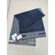 2024FW Scarf DIOR New this season! Adults are also welcome! 2024FW Scarf DIOR New this season! Adults are also welcome!