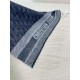2024FW Scarf DIOR New this season! Adults are also welcome! 2024FW Scarf DIOR New this season! Adults are also welcome!