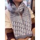 2024FW Scarf DIOR Dior Celebrities Get This Season 2024FW Scarf DIOR Dior Celebrities Get This Season