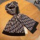 2024FW Scarf DIOR Dior Celebrities Get This Season 2024FW Scarf DIOR Dior Celebrities Get This Season