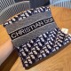 2024FW Scarf DIOR Dior Celebrities Get This Season 2024FW Scarf DIOR Dior Celebrities Get This Season