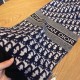 2024FW Scarf DIOR Dior Celebrities Get This Season 2024FW Scarf DIOR Dior Celebrities Get This Season