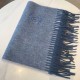 2024FW Scarf HERMES Wear overflowing on the street 2024FW Scarf HERMES Wear overflowing on the street