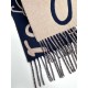 2024FW Scarf LOEWE Stylish style 2024FW Scarf LOEWE Stylish style