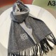 2024FW Scarf LOEWE New item this winter that you can take for granted 2024FW Scarf LOEWE New item this winter that you can take for granted