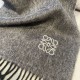 2024FW Scarf LOEWE New item this winter that you can take for granted 2024FW Scarf LOEWE New item this winter that you can take for granted