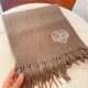 2024FW Scarf LOUIS VUITTON I want to buy it in advance for autumn 2024FW Scarf LOUIS VUITTON I want to buy it in advance for autumn