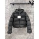 ALEXANDER WANG Alexander Wang Down Jacket 2024FW is gaining popularity ALEXANDER WANG Alexander Wang Down Jacket 2024FW is gaining popularity