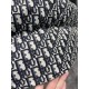 DIOR Cotton vest 2024FW Eye-catching style this winter DIOR Cotton vest 2024FW Eye-catching style this winter