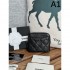 CHANEL 2024SS This summer's new coin bag that attracts attention