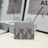 DIOR 2024SS Very popular domestically sold out limited quantity card case