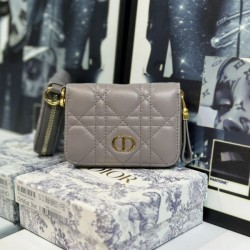 DIOR 2024SS Color card case perfect for early spring